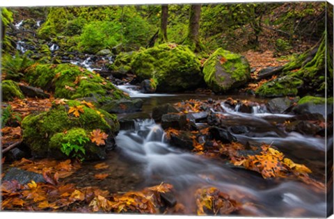 Framed Autumn Color Along Starvation Creek Falls In, Oregon Print