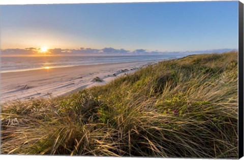 Framed Dunes National Recreation Area, Oregon Print