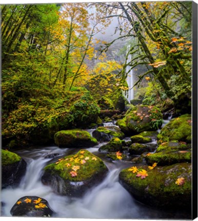 Framed Mccord Creek In Autumn, Oregon Print