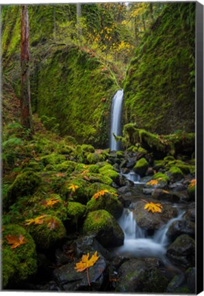 Framed Mossy Grotto Falls, Oregon Print