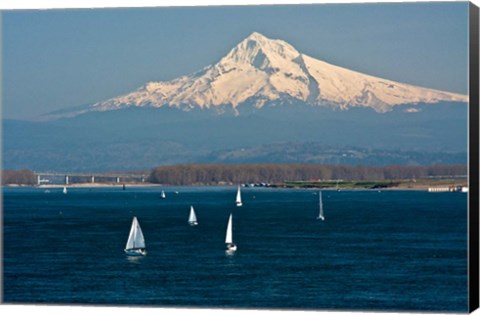 Framed Sailboats On The Columbia River, Oregon Print