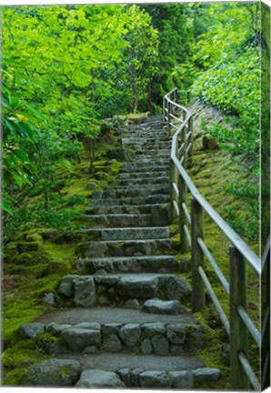 Framed Summer Staris In The Portland Japanese Garden, Oregon Print