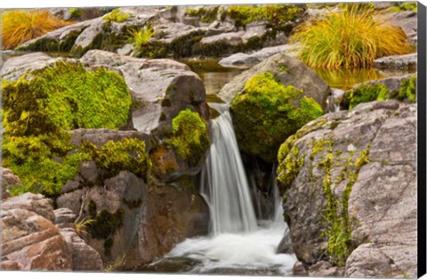 Framed Autumn At Little Falls, Umpqua National Forest, Oregon Print