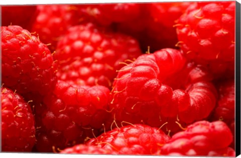 Framed Close-Up Of Fresh Raspberries Print