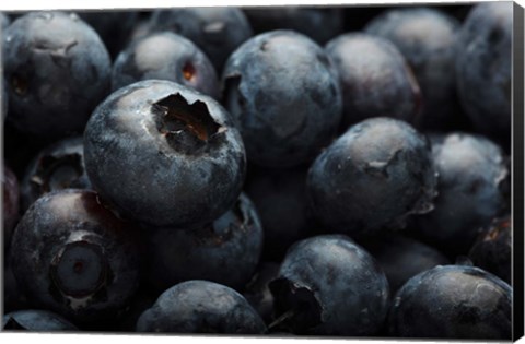 Framed Close-Up Of Dark Blueberries Print