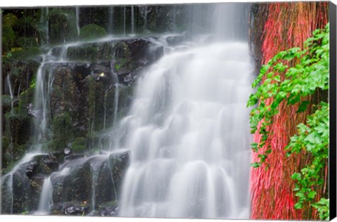 Framed Coopey Falls, Oregon Print