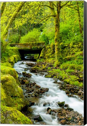 Framed Wahkeena Falls, Oregon Print