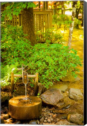 Framed Japanese Garden, Dundee, Oregon Print