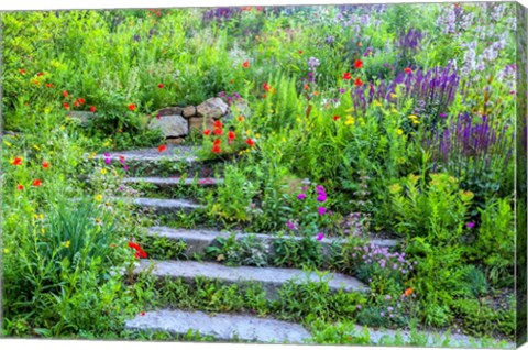 Framed Summer Flowers On Stairs In Pennsylvania Print