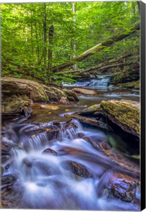 Framed Kitchen Creek Cascade, Pennsylvania Print