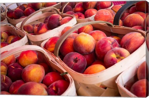 Framed Peaches In Baskets, South Carolina Print