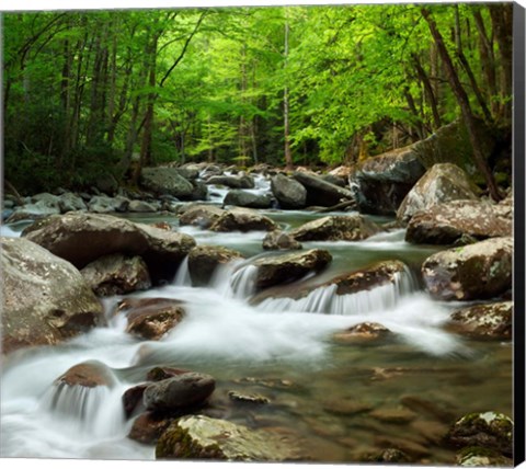 Framed Little Pigeon River At Greenbrier Print