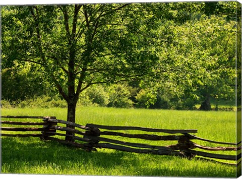 Framed Old Wooden Fence In Cades Cove Print