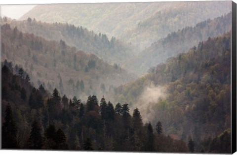 Framed Mist Rises In A Valley Of Tree-Lined Ridges Print