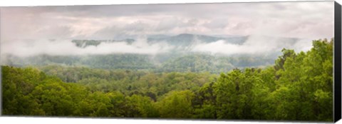 Framed Misty Morning Panorama Of The Greak Smoky Mountains National Park Print