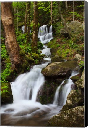 Framed Cascade Along The Little River Print