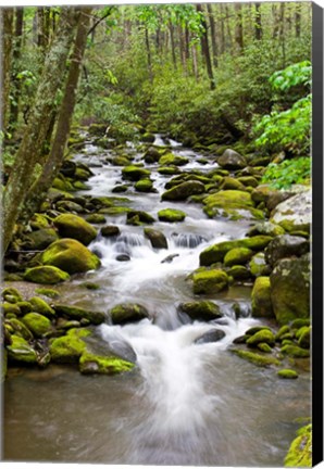 Framed Roaring Fork In Spring, Tennessee Print