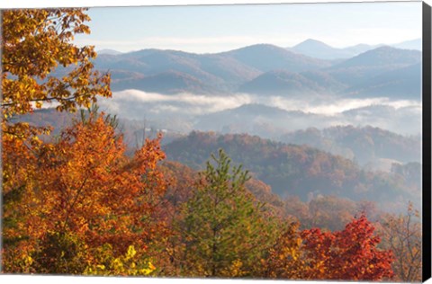 Framed Morning Light Fog Viewed From Foothills Parkway Print