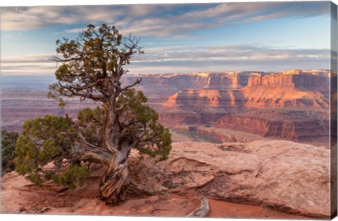 Framed Sunrise At Dead Horse Point State Park, Utah Print