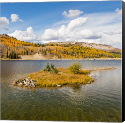 Framed Duck Fork Reservoir, Manti-La Sal National Forest, Utah Print