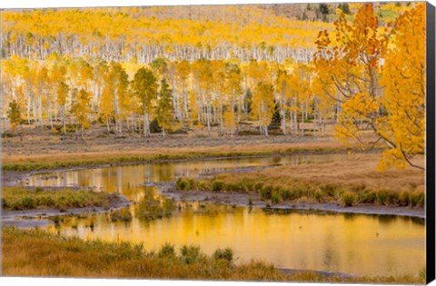 Framed Fishlake National Forest Landscape, Utah Print