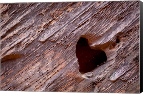 Framed Heart-Shaped Hole In Rock Print