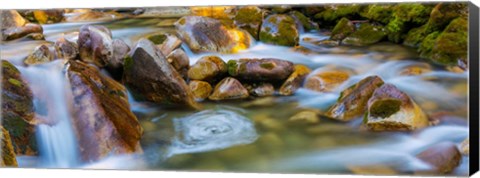 Framed Scenic View Of The Little Cottonwood Creek Print