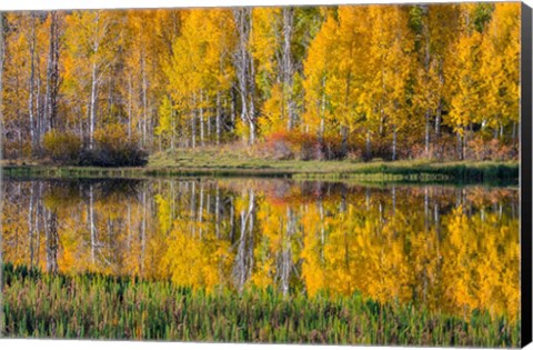 Framed Round Lake Panorama, Utah Print