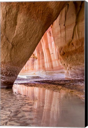 Framed Slide Arch In Paria Canyon, Utah Print