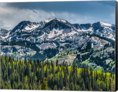 Framed Snow Covered Mountain From Guardsman&#39;s Pass Road Print