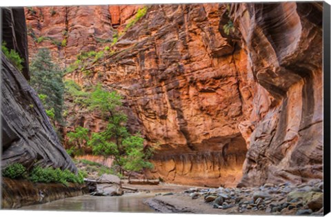 Framed Zion Narrows, Utah Print