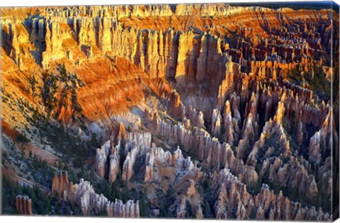 Framed Sunrise At Bryce Point Bryce National Park, Utah Print