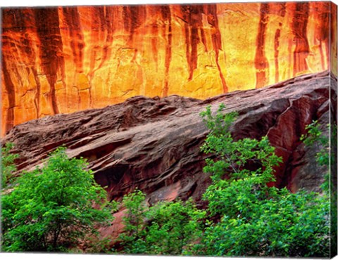 Framed Escalante Neon Canyon, Utah Print