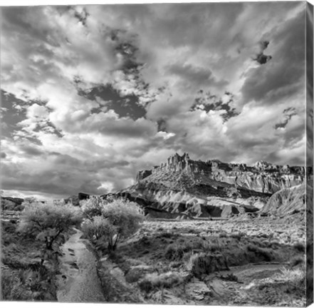 Framed Sulphur Creek, Capitol Reef National Park, Utah (BW) Print