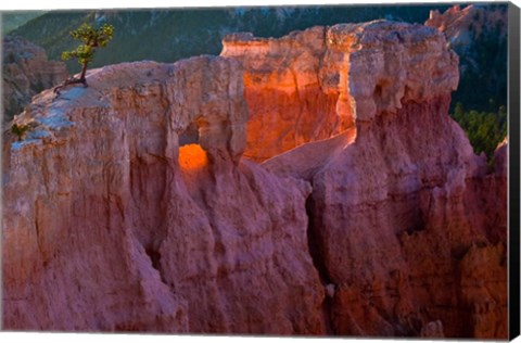 Framed First Light On The Hoodoos At Sunrise Point, Bryce Canyon National Park Print