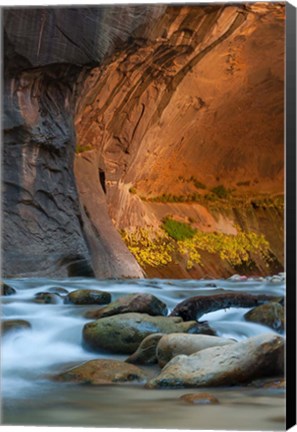 Framed Autumn Foliage Inside The Narrows, Utah Print