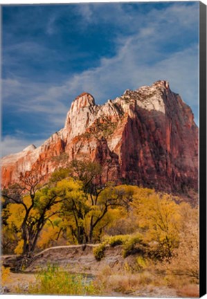 Framed Autumn Foliage In Front Of The Sentinel, Utah Print