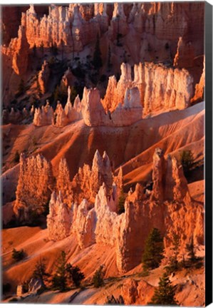 Framed Sunrise Point Hoodoos In Bryce Canyon National Park, Utah Print