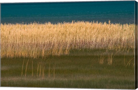 Framed Grasses Blowing In The Breeze Along The Shore Of Bear Lake, Utah Print