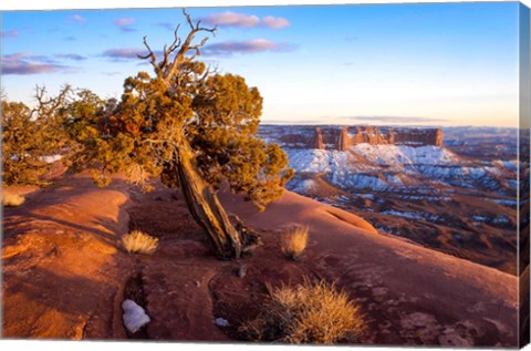 Framed Overlook Vista At Canyonlands National Park, Utah Print