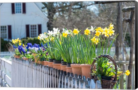Framed Garden At Colonial Williamsburg, Virginia Print