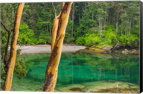 Framed Secluded Bay On Sucia Island, Washington State Print