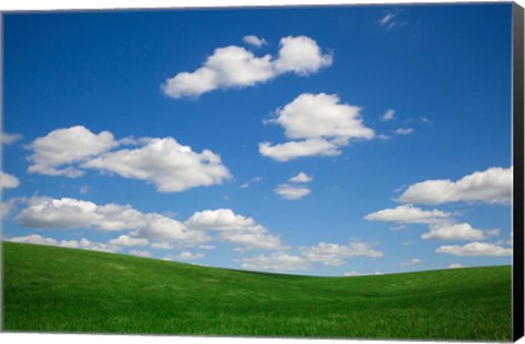 Framed Green Wheat Field Landscape, Washington State Print