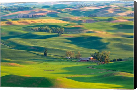 Framed Farmland Viewed From Steptoe Butte, Washington State Print