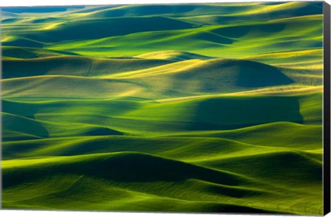 Framed Country Landscape Viewed From Steptoe Butte Print