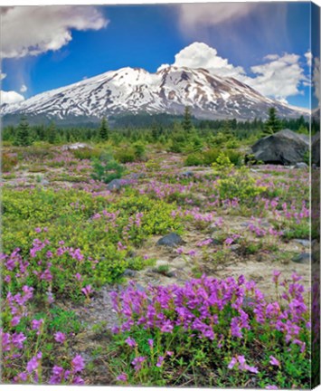 Framed Mount Saint Helens Landscape, Washington State Print