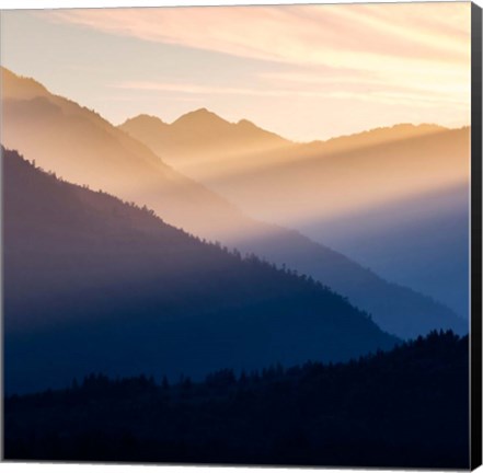 Framed Sunset In The Olympic National Forest Print