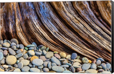 Framed Beach Rocks And Driftwood Print