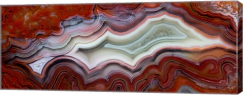 Framed Mexican Crazy Lace Agate I Print