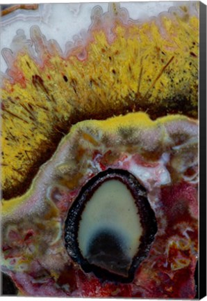 Framed Quetzalcoatl Agate Print